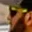 Rostro 3