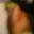 Rostro 2