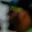 Rostro 2