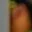 Rostro 2