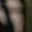 Rostro 2