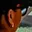 Rostro 3