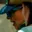 Rostro 2