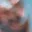 Rostro 3