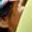 Rostro 3