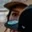 Rostro 4