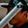 Rostro 5