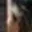 Rostro 4