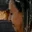 Rostro 2