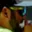 Rostro 4