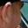 Rostro 11