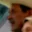 Rostro 4