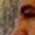 Rostro 8