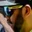 Rostro 5