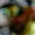 Rostro 2