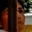 Rostro 6