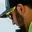 Rostro 5