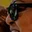 Rostro 4