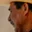 Rostro 5