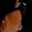 Rostro 3