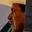 Rostro 3