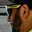 Rostro 3