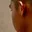 Rostro 3