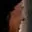 Rostro 3