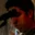Rostro 3