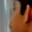 Rostro 5
