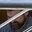 Rostro 4
