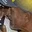 Rostro 10
