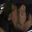 Rostro 17