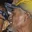 Rostro 10