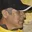 Rostro 7