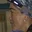Rostro 6