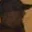 Rostro 7
