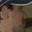 Rostro 5