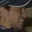 Rostro 5