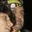 Rostro 7