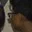 Rostro 10