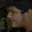 Rostro 3