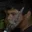 Rostro 5