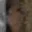 Rostro 12