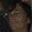 Rostro 19