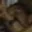 Rostro 13