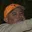 Rostro 4