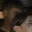 Rostro 10