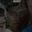 Rostro 5