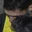 Rostro 9